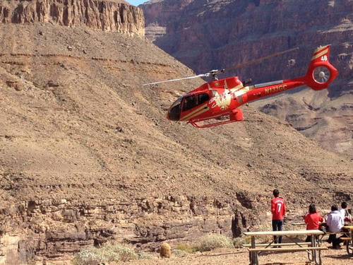 fly and land on the bottom of the grand canyon